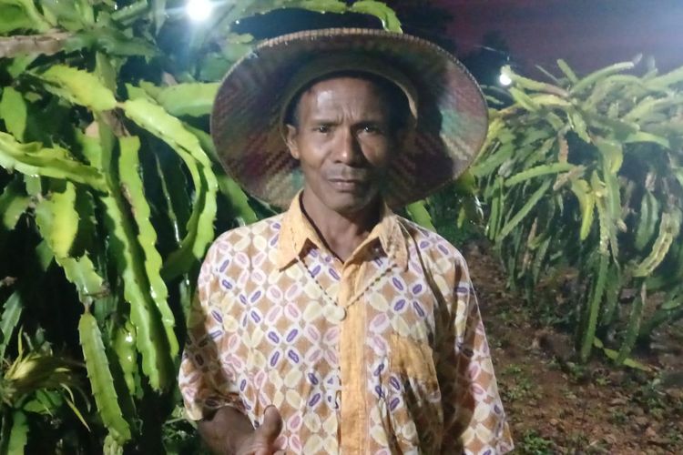 Ignasius Neno Naisau, warga Desa Nunmafo, Kecamatan Insana, Kabupaten Timor Tengah Utara (TTU), Nusa Tenggara Timur (NTT), tengah berada di kebunnya.
