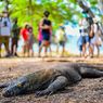 Taman Nasional Komodo Perlu Pembatasan Pengunjung, Ini Alasannya