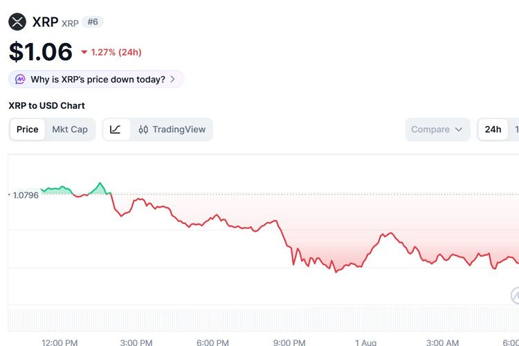 Harga XRP Hari Ini 1 Agustus 2026 Anjlok Terseret Suku Bunga The Fed