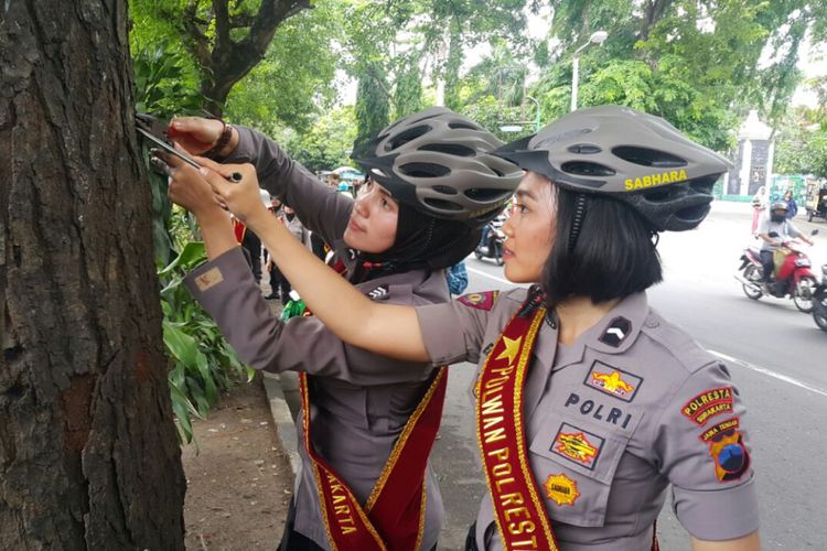 CABUT PAKU--Polwan cantik Polresta Surakarta mencabut paku yang menancap di pepohonan menjelang Hari Pohon Sedunia di Jalan Menteri Supeno, Manahan, Solo, Jawa Tengah, Senin ( 20/11/2017) siang.