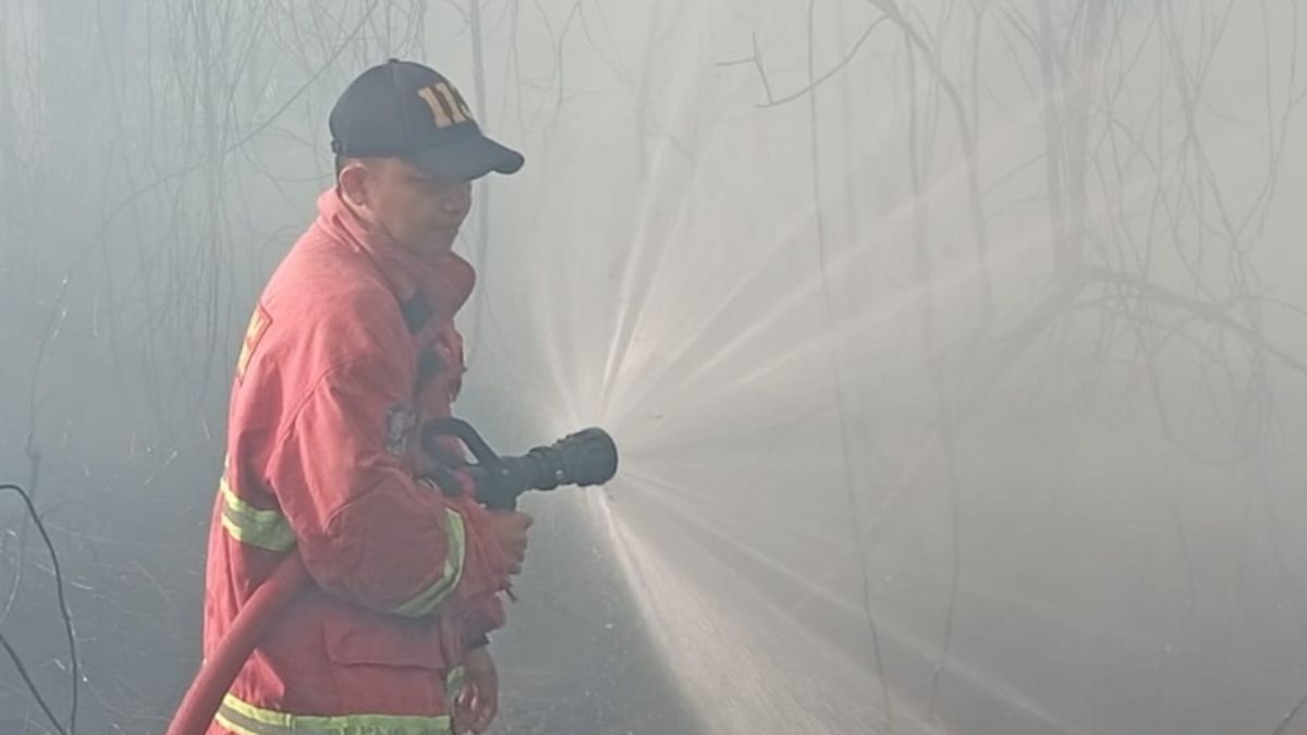 Karhutla Kembali Muncul di Riau, Kondisi Terkini dan Upaya Pemadaman