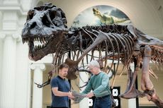Hari Ini dalam Sejarah: Kerangka T-Rex Ditemukan di South Dakota