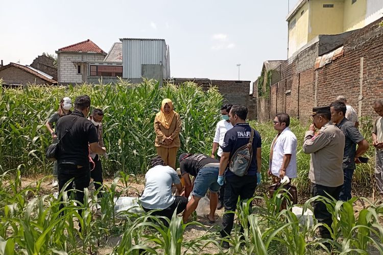 Petugas polisi dan medis saat penemuan jenazah lansia di sawah Desa Lamong, Kecamatan Badas, Kabupaten Kediri, Jawa Timur, Senin (2/9/2024).