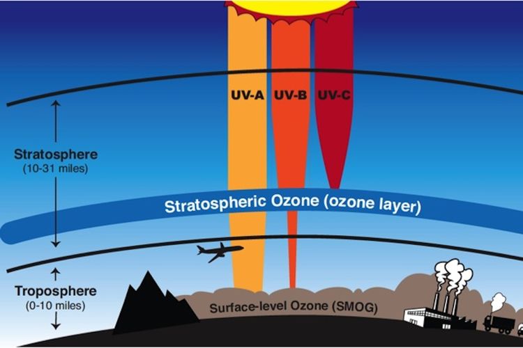 Ozon dalam lapisan stratosfer yang melindungi bumi dari sinar ultraviolet.