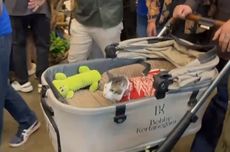 Momen Bobby Kertanegara Keliling Naik Stroller, Kenakan Baju Batik Merah Putih