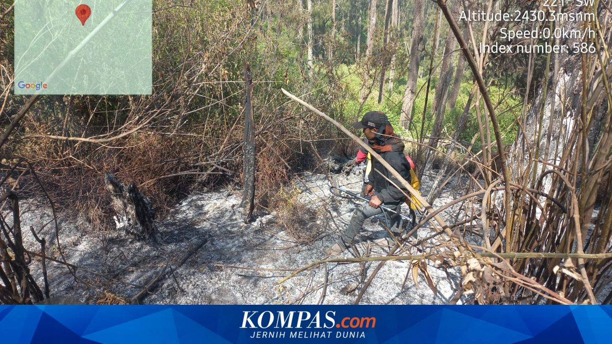 Modifikasi Cuaca Tak Berhasil, Kebakaran Gunung Argopuro Meluas