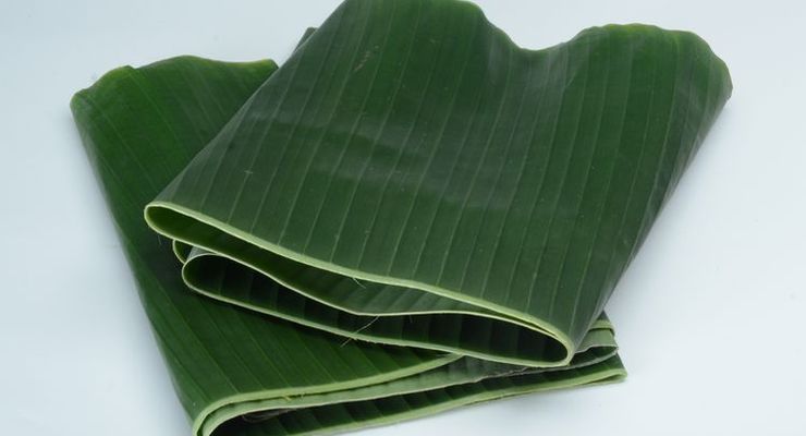Apakah Lapisan Putih di Bawah Daun Pisang Berbahaya? Ini Kata Dosen IPB