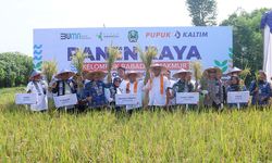 Dari Tanah “Sakit” ke Lumbung Harapan, Ini Kisah Pengawalan Pertanian Jaga Ketahanan Pangan Desa