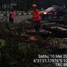 Hujan Disertai Angin Kencang, Pohon Tumbang dan Timpa Trotoar di Sentul Bogor