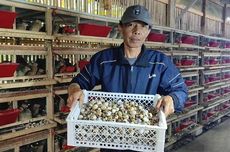 Ruben Onsu dan Sarwendah Berkonflik, Jordi Onsu: Duduk Aja Bareng-bareng demi Anak