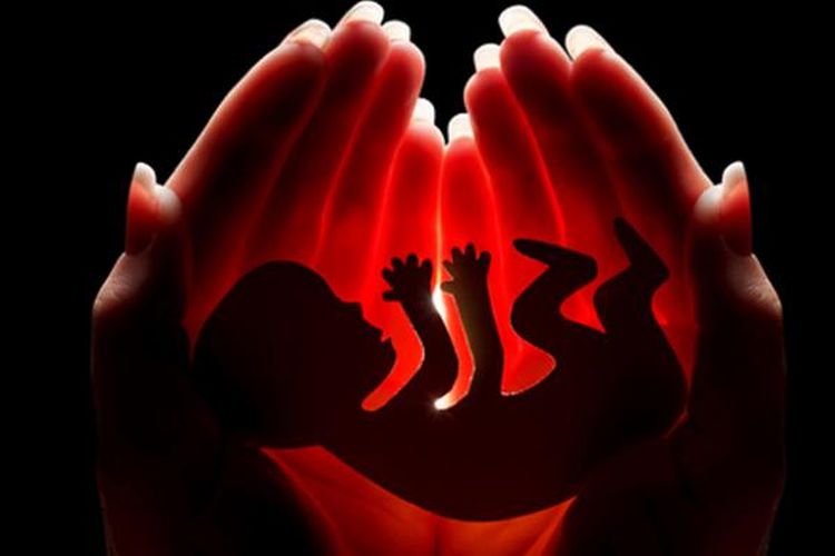 ilustrasi aborsi. Pria berijazah kedokteran gigi didakwa melakukan aborsi terhadap 1.338 janin secara ilegal di wilayah Kabupaten Badung, Bali