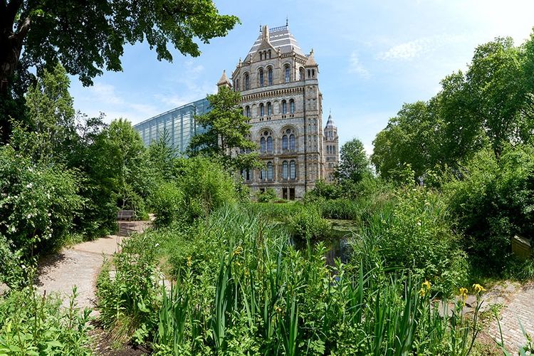 Natural History Museum, London, Inggris DOK. Natural History Museum