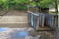 Video Viral Waduk di Balikpapan Tiba-tiba Mengering, Ini Penjelasannya