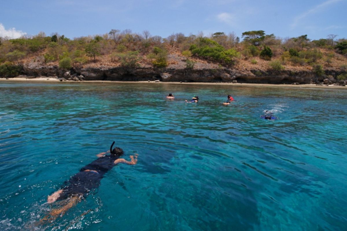 Wisatawan sedang snorkeling di sekitar Pulau Menjangan, Taman Nasional Bali Barat, Kabupaten Jembrana, Bali, Minggu (29/10/2017).