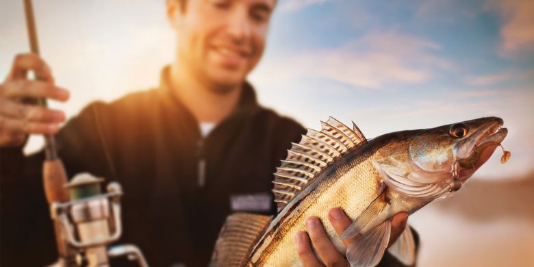 Di Luar Dugaan Melepas Kail Pancing Bikin Ikan Kesulitan Makan Di Luar Dugaan Melepas Kail Pancing Bikin Ikan Kesulitan Makan