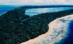 KKP Targetkan Perdagangan Karbon Biru Dimulai 2027