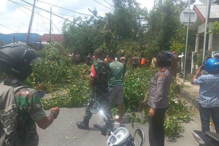 Pohon beringin yang berdiri di tepi Jalan Wolter Monginsidi di Kelurahan Lateri, Kecamatan Baguala, Kota Ambon Maluku tumbang menutup badan jalan di kawasan tersebut, Senin (6/3/2023). Kejadian itu juga menyebabkan dua rumah warga rusak