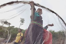 5 Budaya Khas NTT, Ada Daging Asap Khas Rote