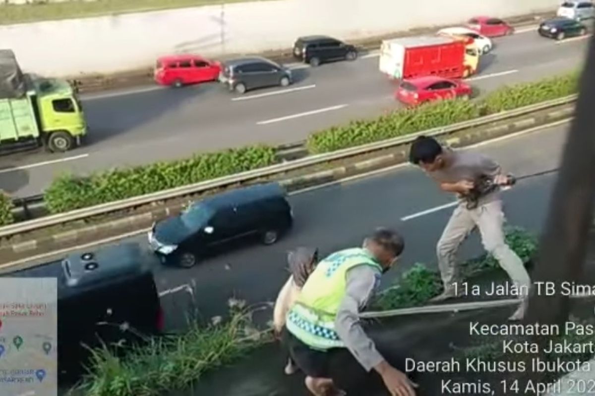 Anggota Polisi Lalu Lintas (Polantas) Aiptu Sujianta dibantu beberapa petugas mengevakuasi seorang nenek yang kedinginan di tebing Tol Jakarta Outer Ring Road (JORR), wilayah Pasar Rebo, Jakarta Timur, Kamis (14/4/2022).