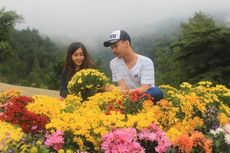 Batu Flower Garden, Wisata Romantis Idola Kaum Remaja