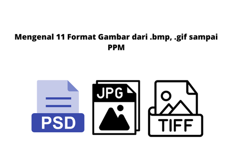 Mengenal 11 Format Gambar dari .bmp, .gif sampai PPM