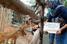 Sumbang Pakan untuk Satwa di Mazoola, WSL: Hewan Juga Butuh Makan