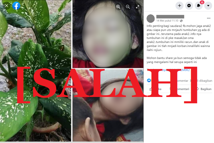 Tangkapan layar informasi keliru di sebuah akun Facebook, yang menyebut tanaman hias sri rejeki mengandung racun mematikan.