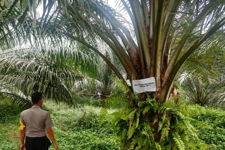 Polisi memasang larangan melintas di dekat kawasan semburan lumpur bercampur gas di Desa Seuneubok Lapang, Kecamatan Peureulak Timur, Aceh Timur, Kamis (1/8/2019)