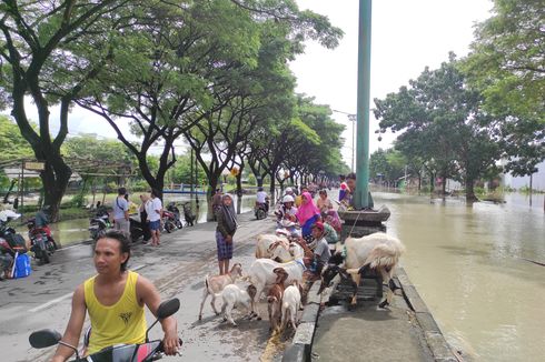Banjir Demak Meluas, Ratusan Warga Amankan Diri di Jalur Pantura  