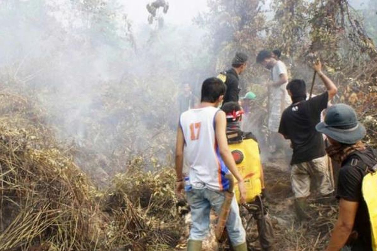 Relawan berusaha memadamkan api di kawasan Taman Nasional Tanjung Puting, Kotawaringin Barat, Kalimantan Tengah, Senin (26/10/2015). Sejak akhir bulan September 2015, para relawan yang berasal dari berbagai lembaga maupun organisasi berjibaku memadamkan api yang menghanguskan sedikitnya 90.000 hektar hutan di TNTP.