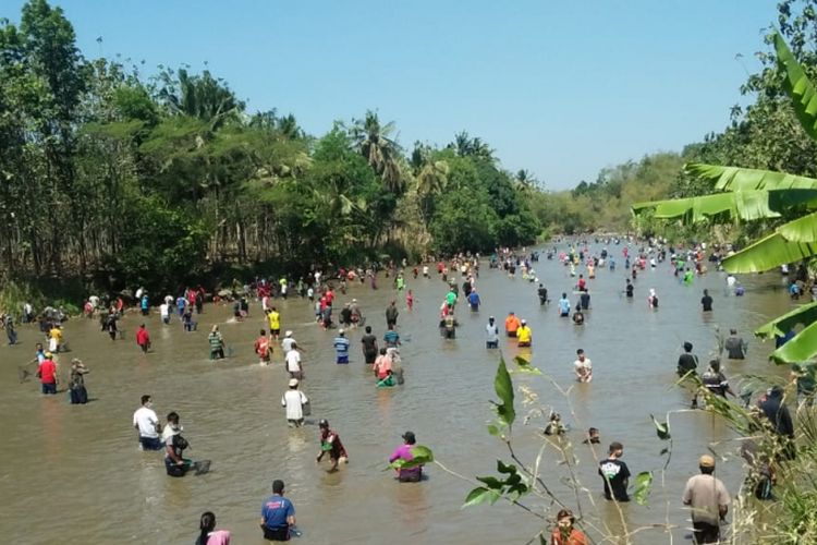 ?Ribuan warga Desa Ngombak dan Desa Karanglangu, Kecamatan Kedungjati, Kabupaten Grobogan, Jawa Tengah terjun ke sungai berebut ikan? dalam Tradisi Tubo yang digelar di sungai Tuntang setempat, Selasa (24/7/2018) siang. 