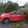 Pohon Tumbang Timpa 1 Mobil Wisatawan di Bantul, 2 Luka-luka