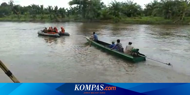 Detik-detik Tubuh Nila Diseret Buaya hingga Menghilang, Korban Sempat Teriak Minta Tolong