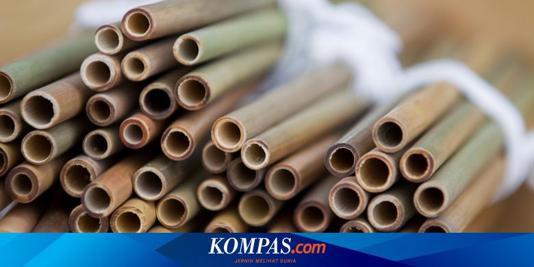 Bisnis Sedotan Bambu Yumna Bisa Raup Omzet Hingga Rp 100 Juta Halaman All Kompas Com