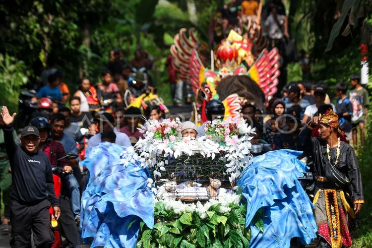 Pesta Ultah Kucing di Banyuwangi Dimeriahkan 12 Biduan, Telan Rp 50 Juta
