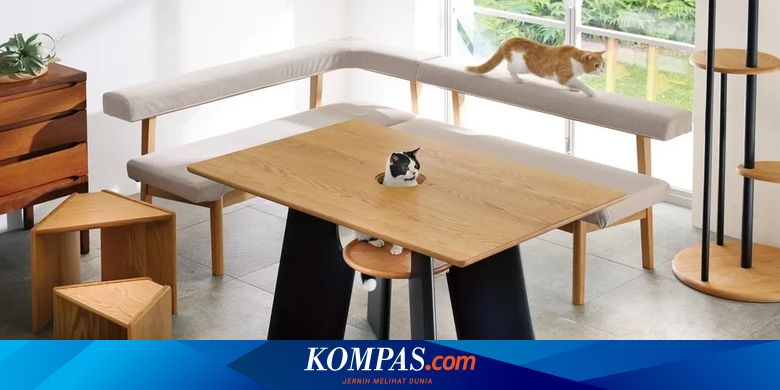 Unik, Ada Meja Makan dengan Lubang untuk Kucing - Vimarsana News