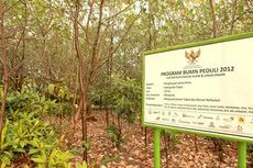 Menuai Rezeki Mangrove