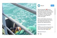 Video Petugas Kapal Buang Sampah ke Laut Viral, PT Pelni Minta Maaf
