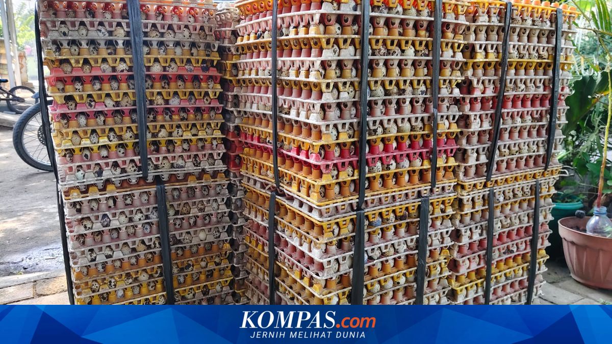 Dapur MBG Libur, Harga Telur dan Daging Ayam di Pangandaran Turun