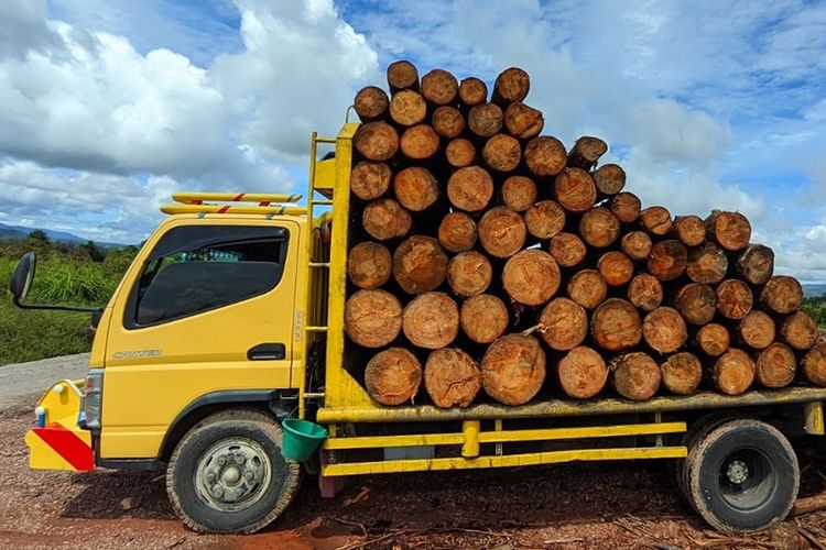 DLHK Sumut menyita truk dan kayu diduga hasil ilegal loging di Desa Hutaraja, Kabupaten Tapanuli Utara (Taput), Jumat (14/7/2023). 