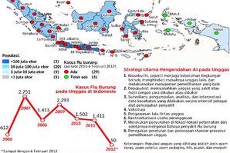Kasus Flu Burung Kembali Merebak Halaman All Kompas Com