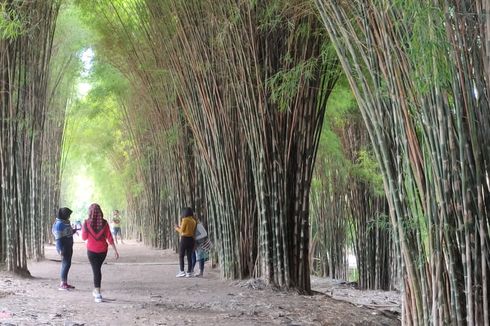 Taman Harmoni, Tempat Pembuangan Sampah yang Kini Jadi Taman Kota Kebanggaan Surabaya