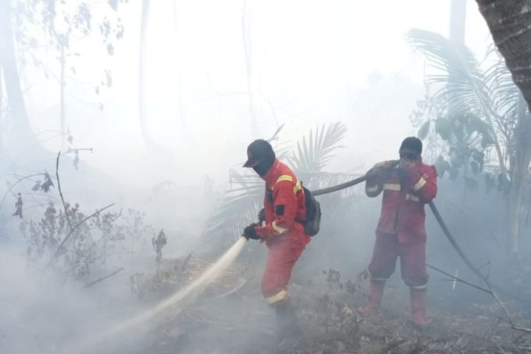 Kebakaran hutan dan lahan di Indonesia tahun ini diprediksi lebih berat lantaran musim kemarau yang lebih kering. 