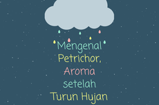 Mengenal Petrichor, Aroma setelah Turunnya Hujan 