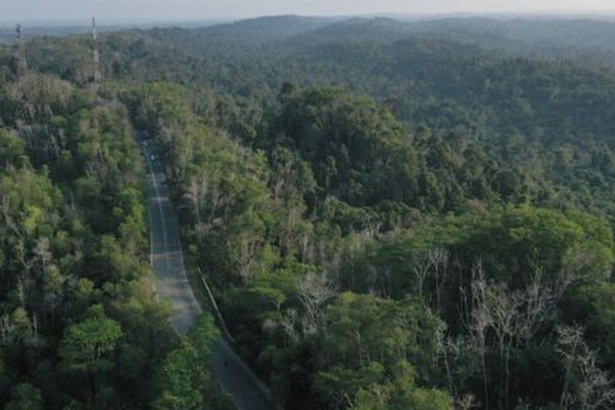 Taman Hutan Raya Bukit Soeharto di Kutai Kertanegara merupakan salah satu hutan di wilayah ibu kota baru. 