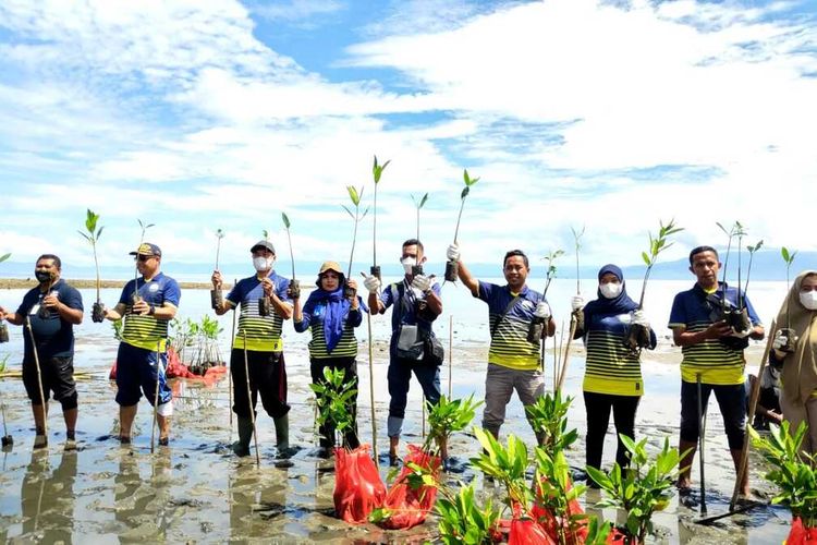 Para pegawai Pengawasan Sumber Daya Kelautan dan Perikanan (PSDKP) Ambon bersama kelompok pencinta alam melakukan kegiatan penanaman anakan mangrov di Pantai wisata Desa Liang, Kecamatan Salahutu, Kabupaten Maluku Tengah, Selasa (26/10/2021).