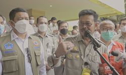 Kementan Gandeng BNPB dan PMI Luncurkan Gerakan Disinfeksi Nasional untuk Atasi PMK