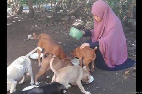 Kisah Desy Wanita Berhijab Penolong Anjing Liar, 