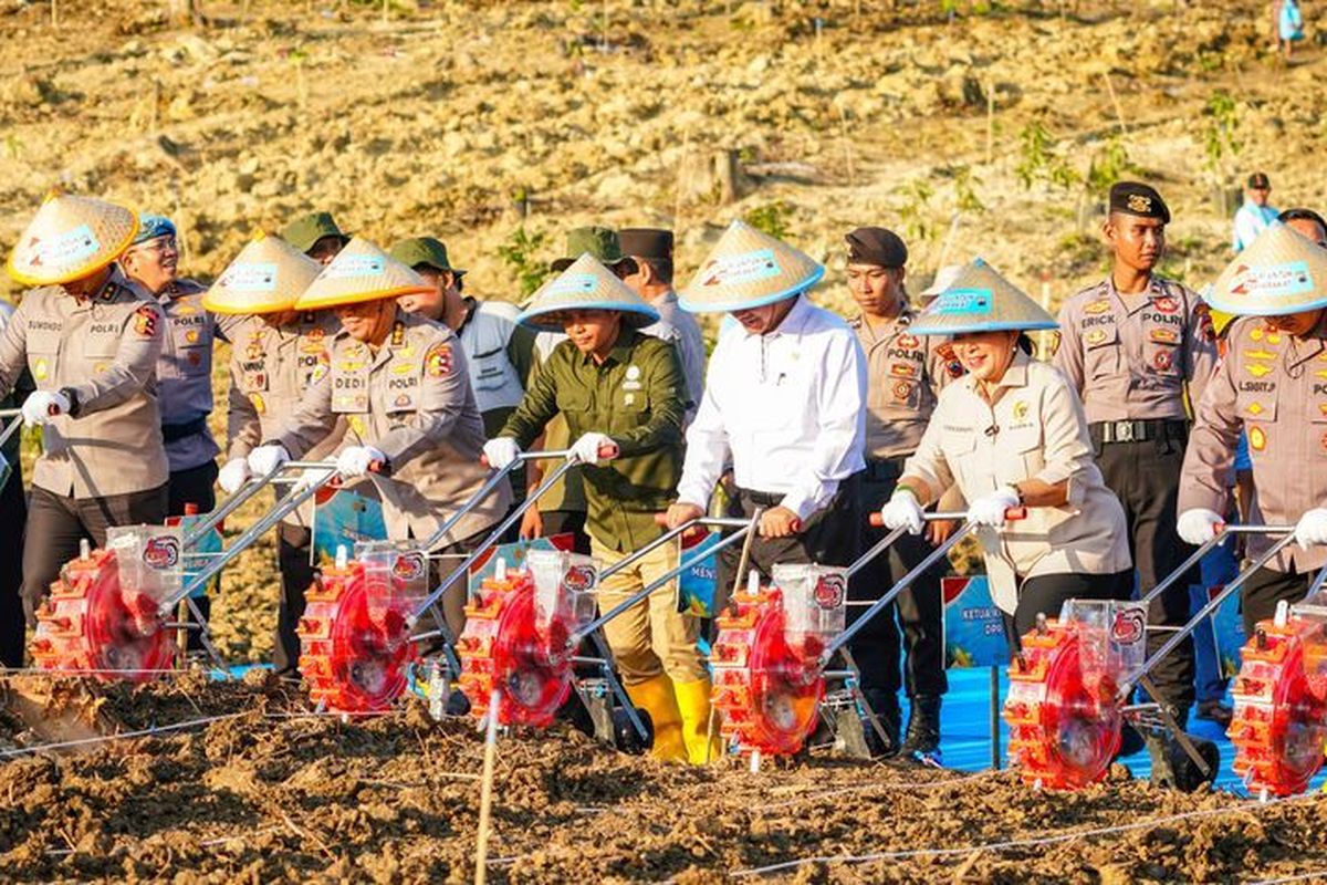Menhut bersama Kapolri, Mentan, dan DPR menanam jagung di lahan Perhutanan Sosial, Jawa Tengah, Rabu (9/7/2025). 
