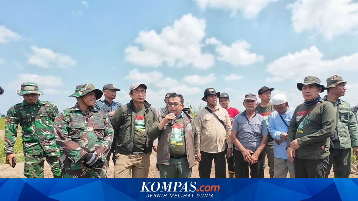 300 Hektare Sawit Ilegal di Taman Nasional Berbak Sembilang Ditumbangkan, 10.700 Batang Dimusnahkan